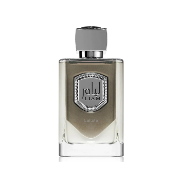 LIAM SILVER 100ml EDP – Image 2