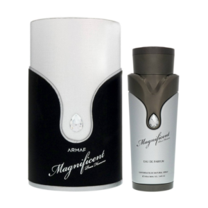 MAGNIFICENT POUR HOMME 100ml EDP