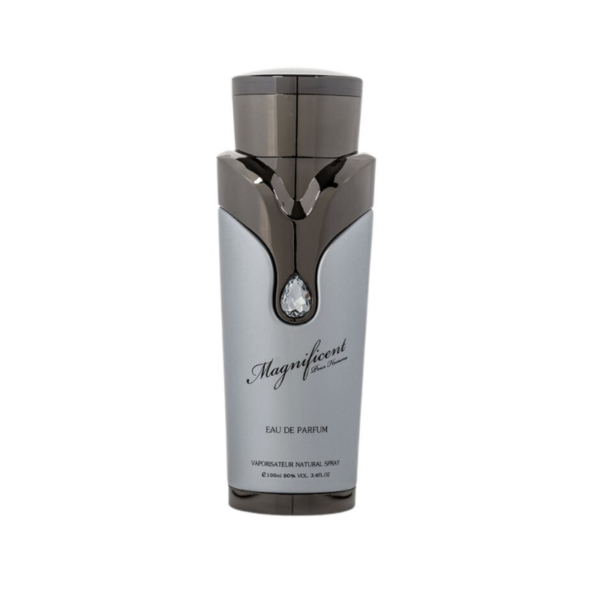 MAGNIFICENT POUR HOMME 100ml EDP – Image 2