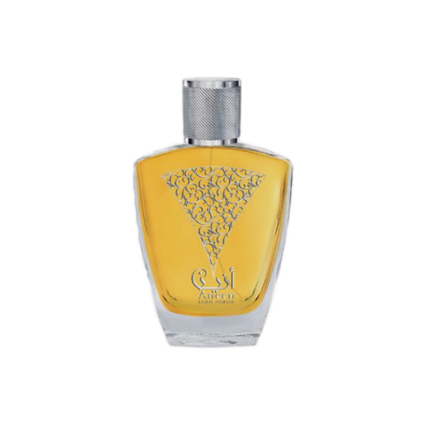 ANEEN 100ml EDP – Image 2